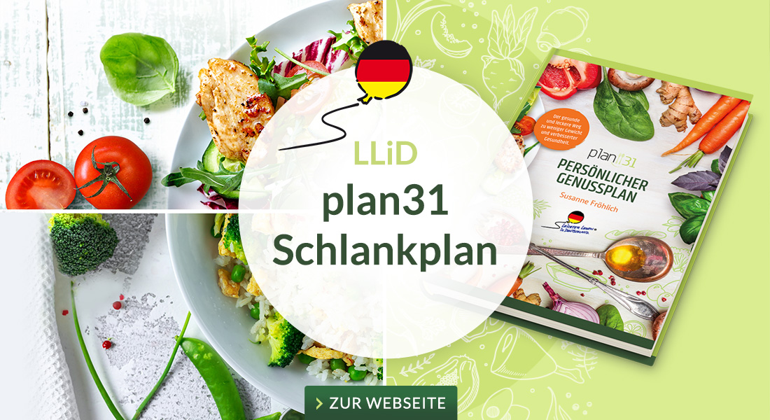 Schlankplan plan31